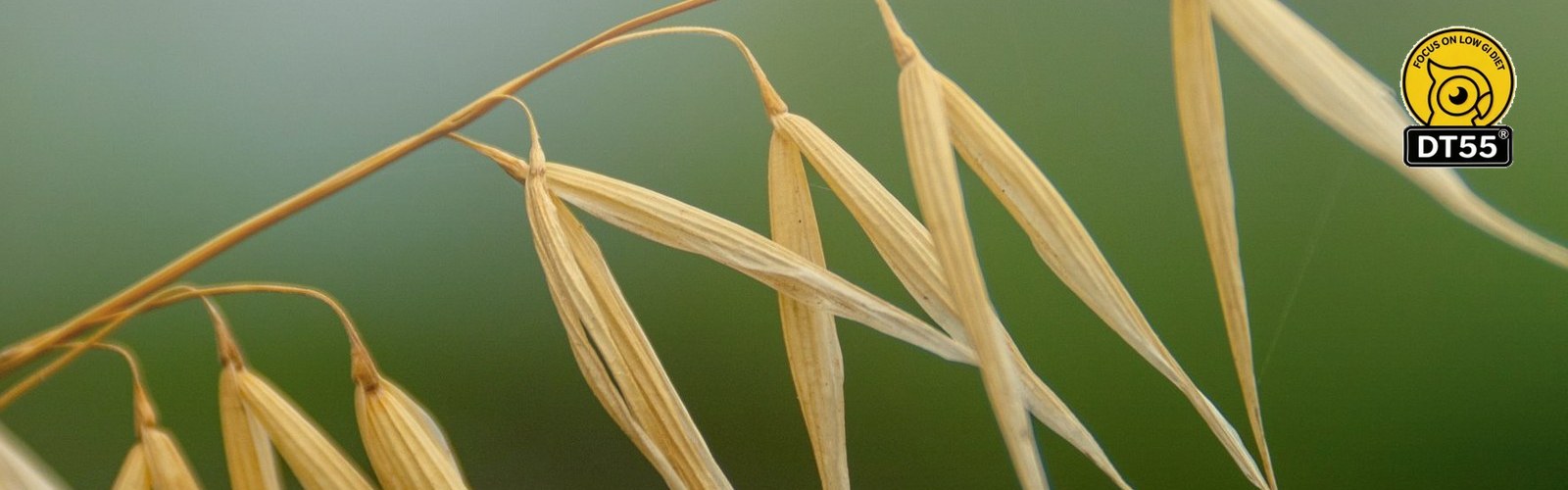 ثلاث خرافات عن الأغذية منخفضة المؤشر الجلايسيمي